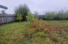 Teren Intravilan Harman cu utilitati , ingradit si casauta de lemn pe teren