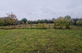 Teren Intravilan Harman cu utilitati , ingradit si casauta de lemn pe teren