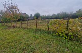 Teren Intravilan Harman cu utilitati , ingradit si casauta de lemn pe teren