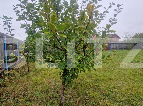 Teren de vânzare Harman - 179109TV | BLITZ Brașov | Poza12