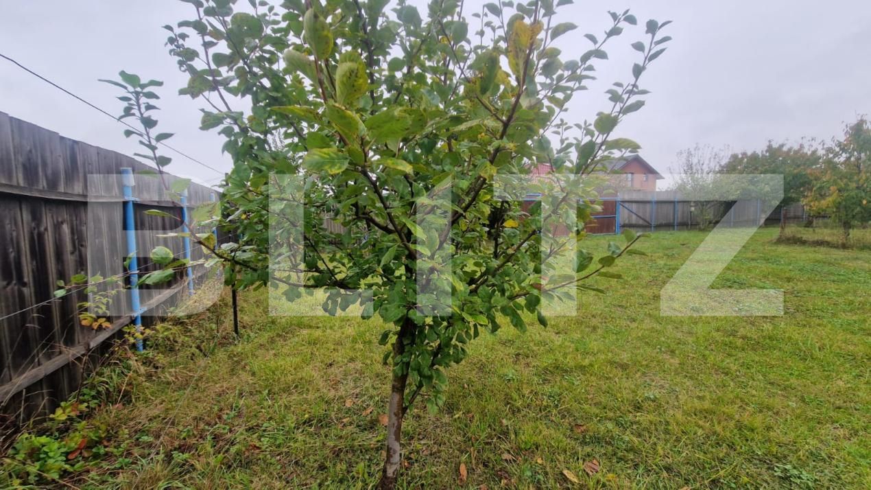 Teren de vânzare Harman - 179109TV | BLITZ Brașov | Poza12