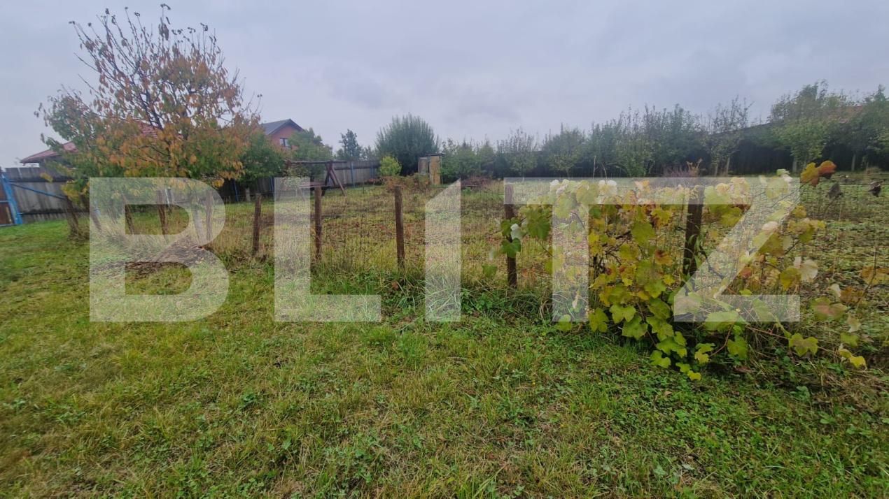 Teren de vânzare Harman - 179109TV | BLITZ Brașov | Poza7