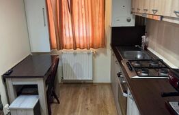 Apartament 2 camere, 39 mp, geam la baie, zona Muzeul Apei 