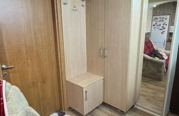 Apartament 2 camere, 39 mp, geam la baie, zona Muzeul Apei 