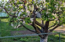  Casă cu etaj de vânzare în Ghimbav, Brașov – zonă liniștită, teren 800MP
