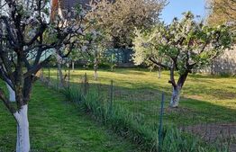  Casă cu etaj de vânzare în Ghimbav, Brașov – zonă liniștită, teren 800MP