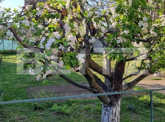 Casa de vânzare 5 camere Ghimbav - 179126CV | BLITZ Brașov | Poza3