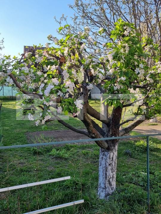 Casa de vânzare 5 camere Ghimbav - 179126CV | BLITZ Brașov | Poza3