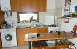 Casa  de vanzare, 50 mp,cu 500 mp de teren si front la strada de 25 ml!