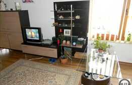 Casa  de vanzare, 50 mp,cu 500 mp de teren si front la strada de 25 ml!