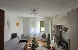 Garsoniera de inchiriat, 22 mp, zona Dambu Rotund