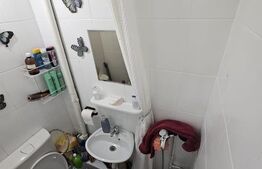 Garsoniera de inchiriat, 22 mp, zona Dambu Rotund