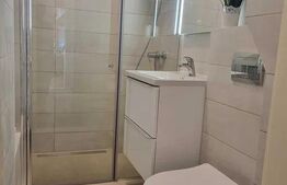 Apartament 3 camere, 70mp, terasa, renovat, zona Ultracentrala