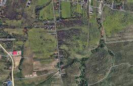 Teren de vanzare, 2.500 mp, zona Buna Ziua-Nicolae Corches 