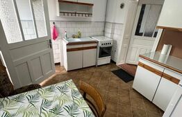 Apartament cu 1 camera, zona Dambul Rotund