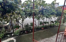 Apartament cu 1 camera, zona Dambul Rotund