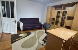 Apartament cu 1 camera, zona Dambul Rotund