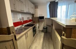 Apartament cu 2 camere, 48 mp, zona Porii 