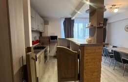 Apartament cu 2 camere, 48 mp, zona Porii 