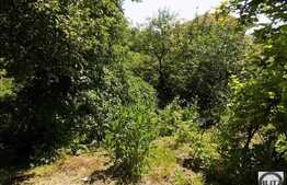 Vanzare casa individuala, 75,86 mp, 450 mp teren, zona strazii Maramuresului