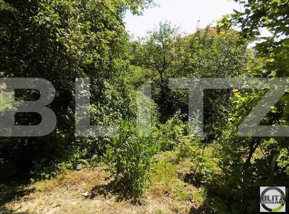 Casa de vânzare 3 camere Dambul Rotund - 17921CV | BLITZ Cluj-Napoca | Poza6