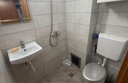 Garsoniera 22 mp, zona Dambu Rotund 