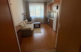 Garsoniera 22 mp, zona Dambu Rotund 