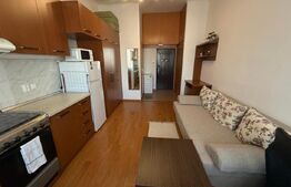 Garsoniera 22 mp, zona Dambu Rotund 