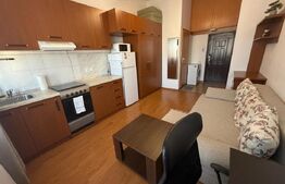 Garsoniera 22 mp, zona Dambu Rotund 