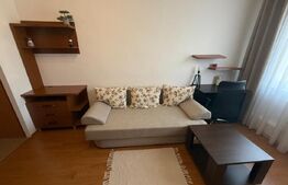 Garsoniera 22 mp, zona Dambu Rotund 