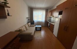 Garsoniera 22 mp, zona Dambu Rotund 