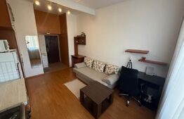 Garsoniera 22 mp, zona Dambu Rotund 