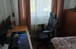 Apartament semidecomandat, cu 2 camere, 29 mp, zona Albac