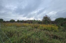 Teren de vanzare, 700 mp, strada Mihai Romanul