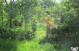 Vanzare casa individuala, 200 mp utili, 500 mp teren, zona linistita