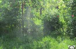 Vanzare casa individuala, 200 mp utili, 500 mp teren, zona linistita