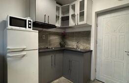 Garsonieră modernă, 22 mp, zona Plopilor