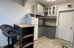 Garsonieră modernă, 22 mp, zona Plopilor