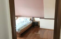 Apartament cu 2 camere, semidecomandat, etaj 3/3,  cu parcare, zona Muzeul Apei