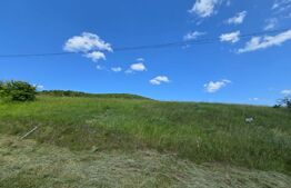 Teren de investitie in localitatea Ciurila 