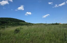 Teren de investitie in localitatea Ciurila 