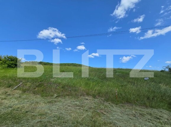 Teren de vânzare Ciurila - 179515TV | BLITZ Cluj-Napoca | Poza3
