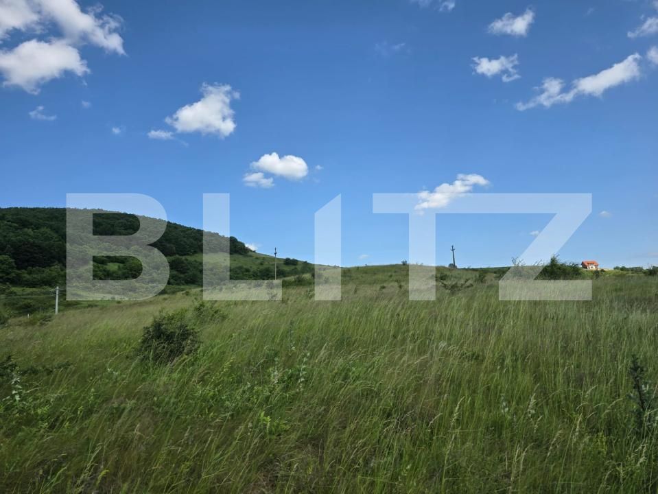 Teren de vânzare Ciurila - 179515TV | BLITZ Cluj-Napoca | Poza4