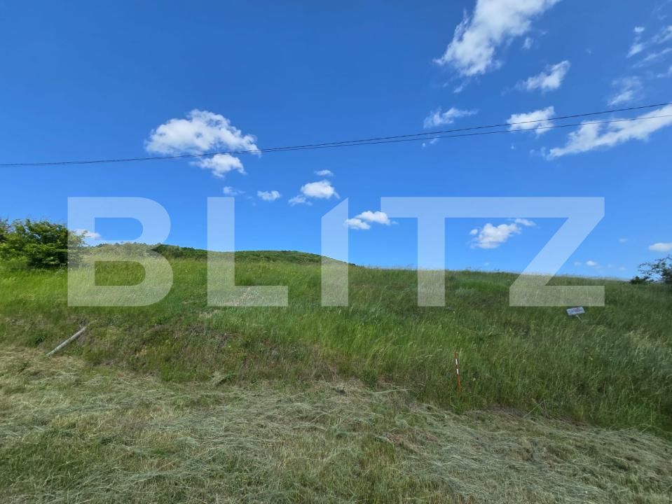Teren de vânzare Ciurila - 179515TV | BLITZ Cluj-Napoca | Poza3