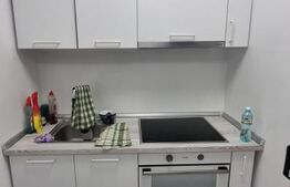 Apartament cu o camera, 35 mp, zona Zorilor