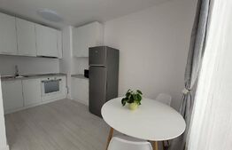 Apartament cu o camera, 35 mp, zona Zorilor