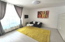 Apartament cu o camera, 35 mp, zona Golden Tulip, pet friendly