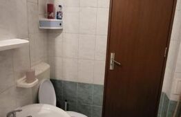 Garsoniera de vanzare, 32 mp, zona Manastur