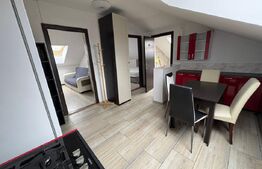 Apartament de vanzare, 3 camere, 61 mp, mansarda, zona Florilor