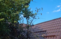 Oportunitate AirBnb!Casă individuală 65mp în GRUIA!